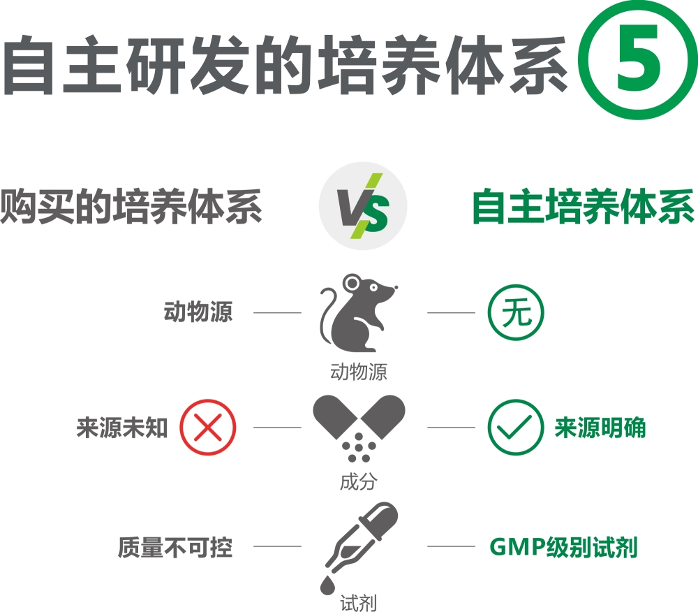 優勢5